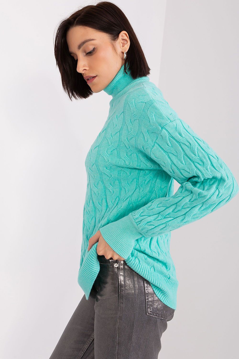 Turtleneck model 188312 AT