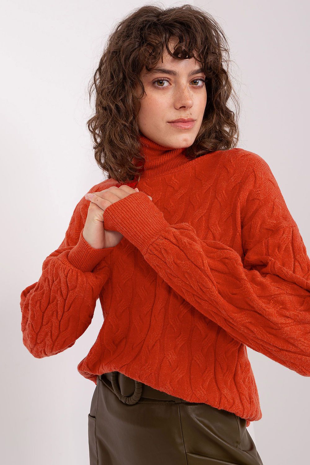 Turtleneck model 188312 AT