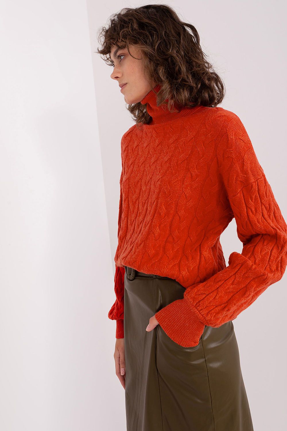 Turtleneck model 188312 AT