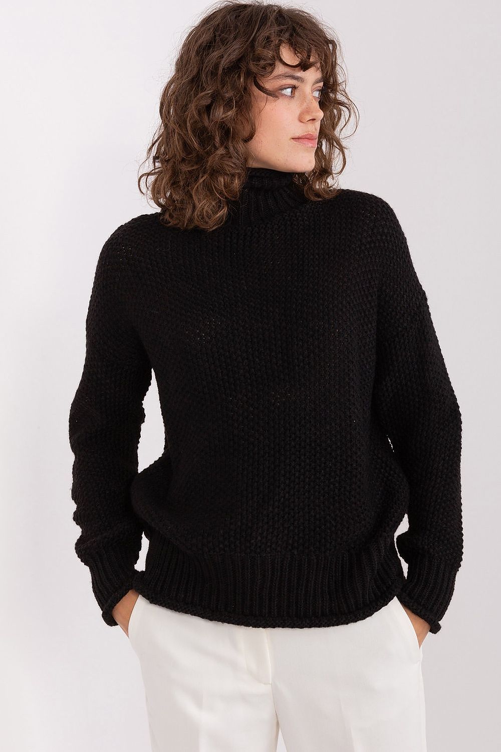 Turtleneck model 191424 Badu